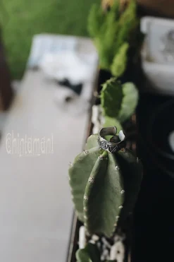 Chintamani Alchemistry 9 Elements Ring Brass^ Accessories